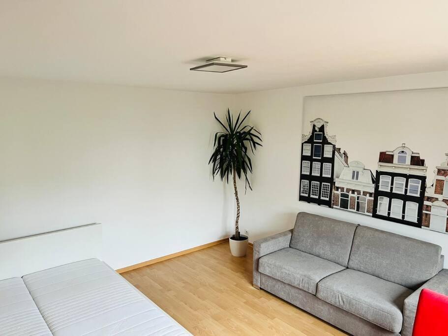 Ferienwohnung In Rheinnaehe Rheinbreitbach Exterior photo